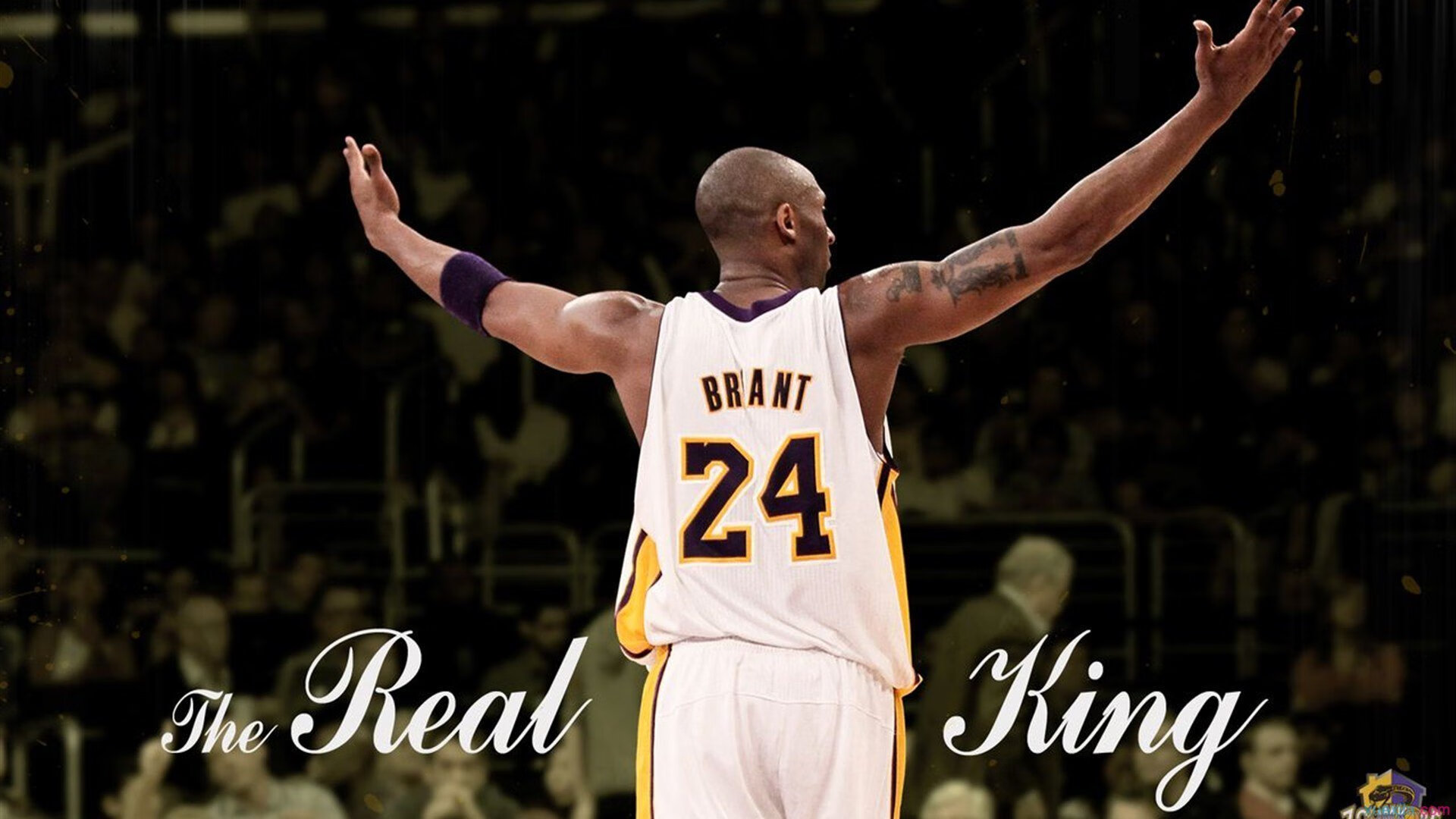 2026世界杯:新一代智能球员装备引发行业革命,2026世界足球杯