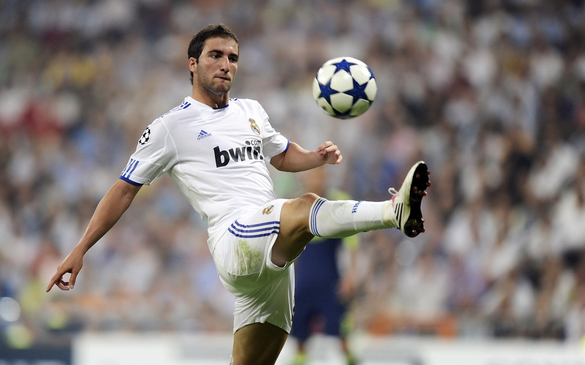 德甲积分榜的最新动态分析,德甲积分榜的最新动态分析