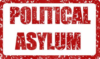 乐鱼体育app官网-中国篮球赛事品牌在国际商标注册中的障碍与应对，中国篮球队标志